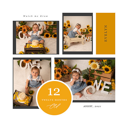 WatchMeGrowMilestoneCollage-12Months