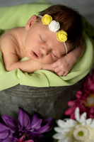_DSC6453-Edit-Edit-Edit