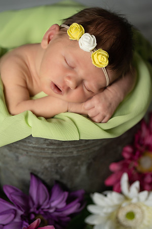 _DSC6453-Edit-Edit-Edit
