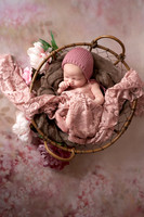 _DSC6301-Edit-Edit