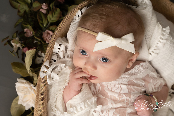 _DSC0315-Edit