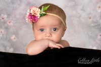 _DSC0384-Edit-Edit-Edit-Edit