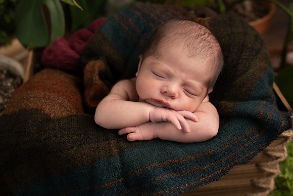 _DSC6268-Edit