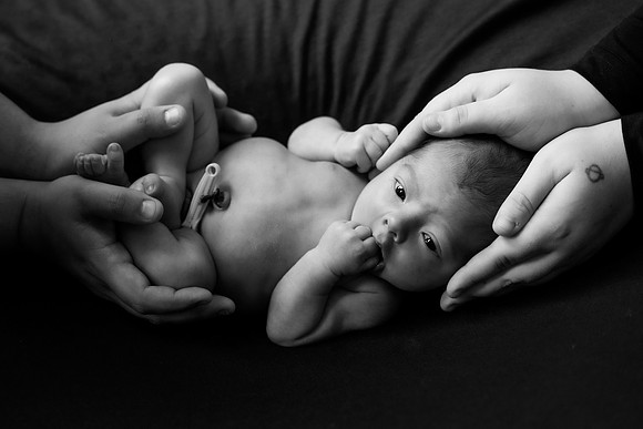 _DSC6478-Edit